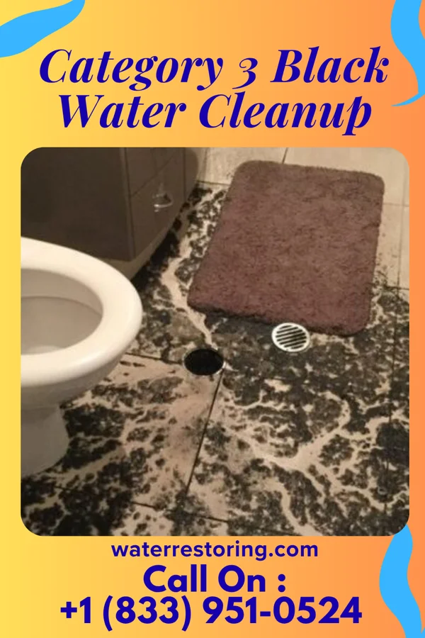 Category 3 Black Water Cleanup in Henderson, KY