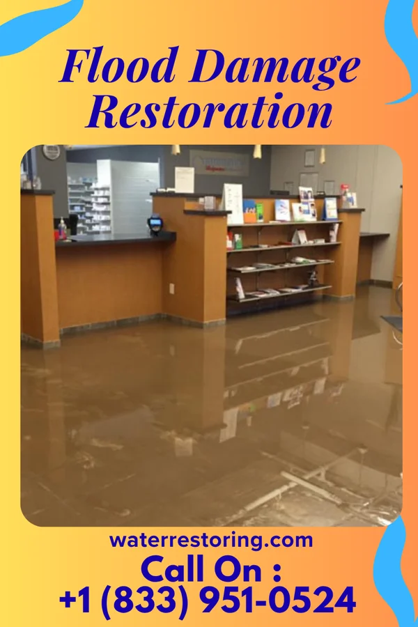 Flood Damage Restoration in Henderson, KY