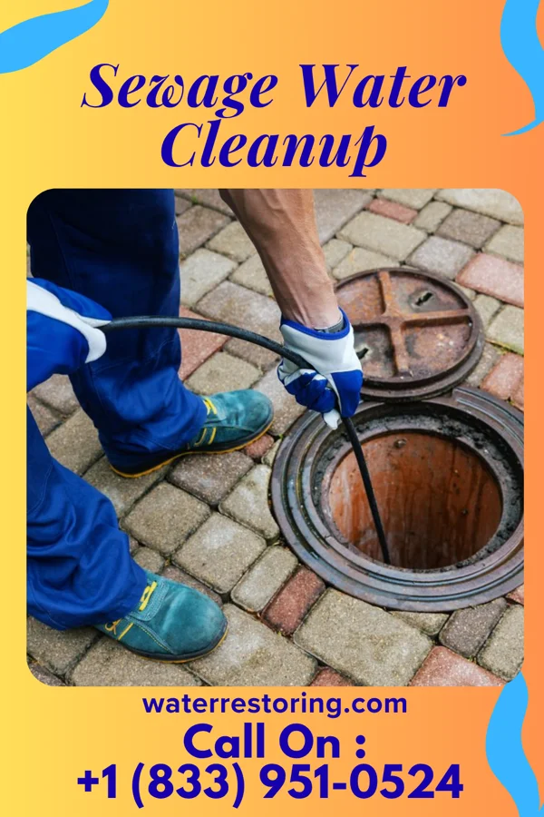 Sewage Water Cleanup in Henderson, KY